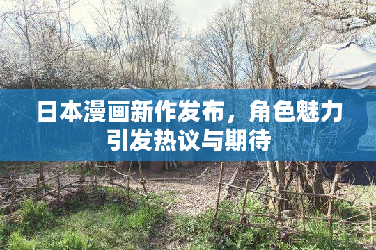 日本漫画新作发布，角色魅力引发热议与期待