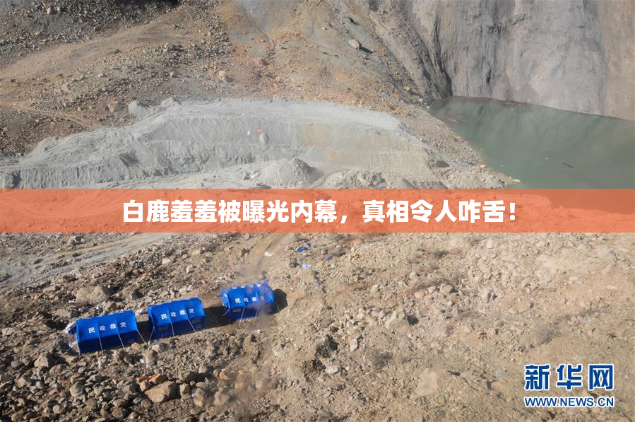 白鹿羞羞被曝光内幕，真相令人咋舌！