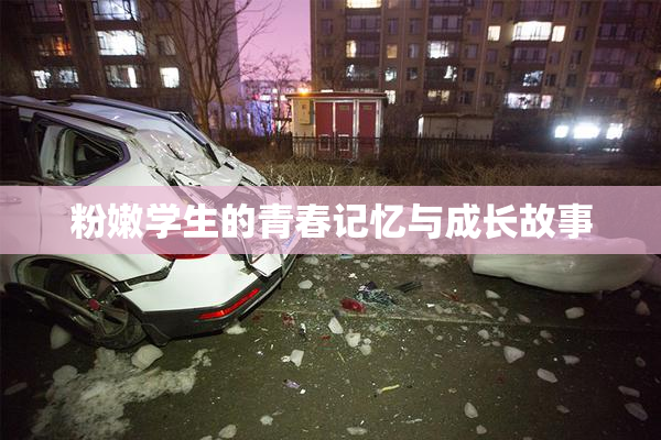 粉嫩学生的青春记忆与成长故事