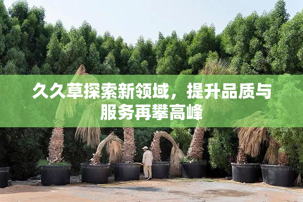 久久草探索新领域，提升品质与服务再攀高峰