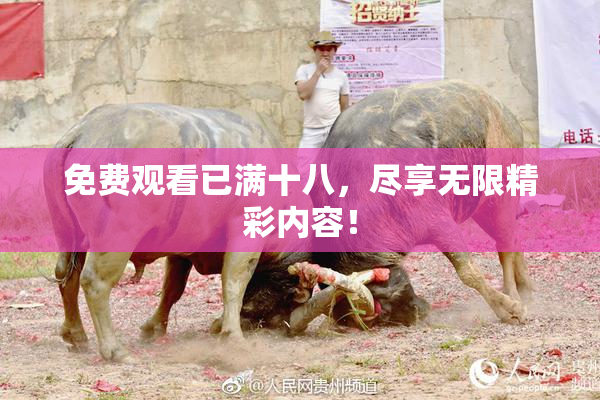 免费观看已满十八，尽享无限精彩内容！