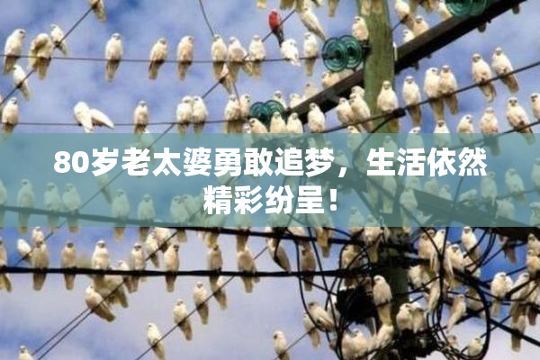 80岁老太婆勇敢追梦，生活依然精彩纷呈！