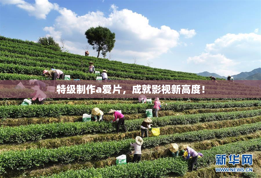 特级制作a爱片，成就影视新高度！