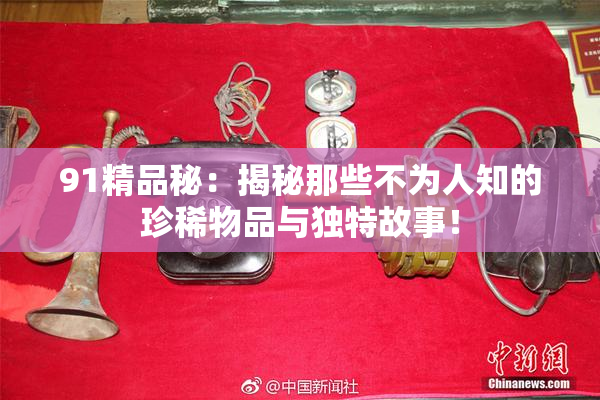 91精品秘：揭秘那些不为人知的珍稀物品与独特故事！