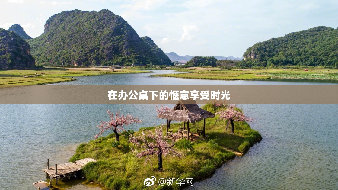 在办公桌下的惬意享受时光