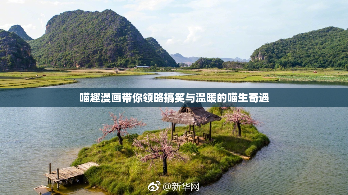 喵趣漫画带你领略搞笑与温暖的喵生奇遇
