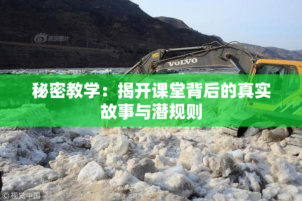 秘密教学：揭开课堂背后的真实故事与潜规则