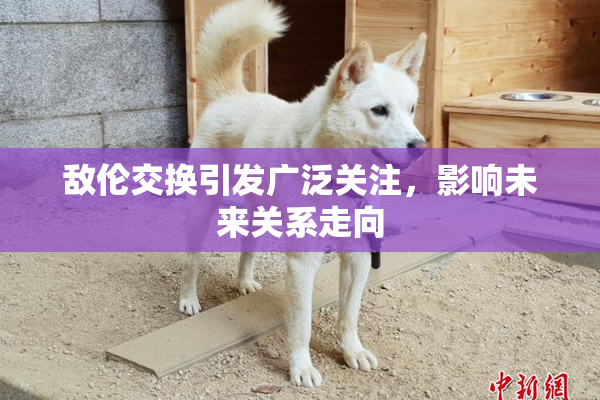 敌伦交换引发广泛关注，影响未来关系走向