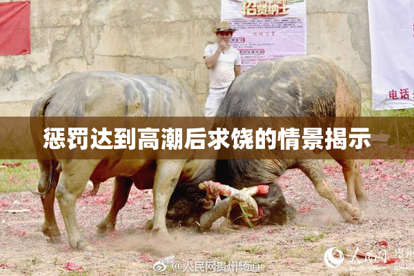 惩罚达到高潮后求饶的情景揭示