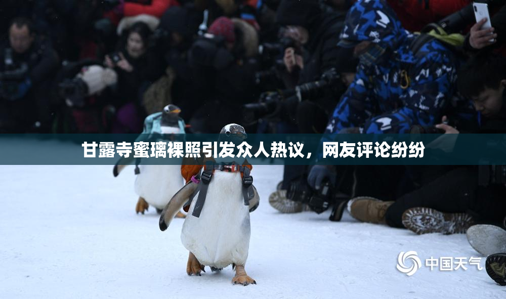 甘露寺蜜璃裸照引发众人热议，网友评论纷纷