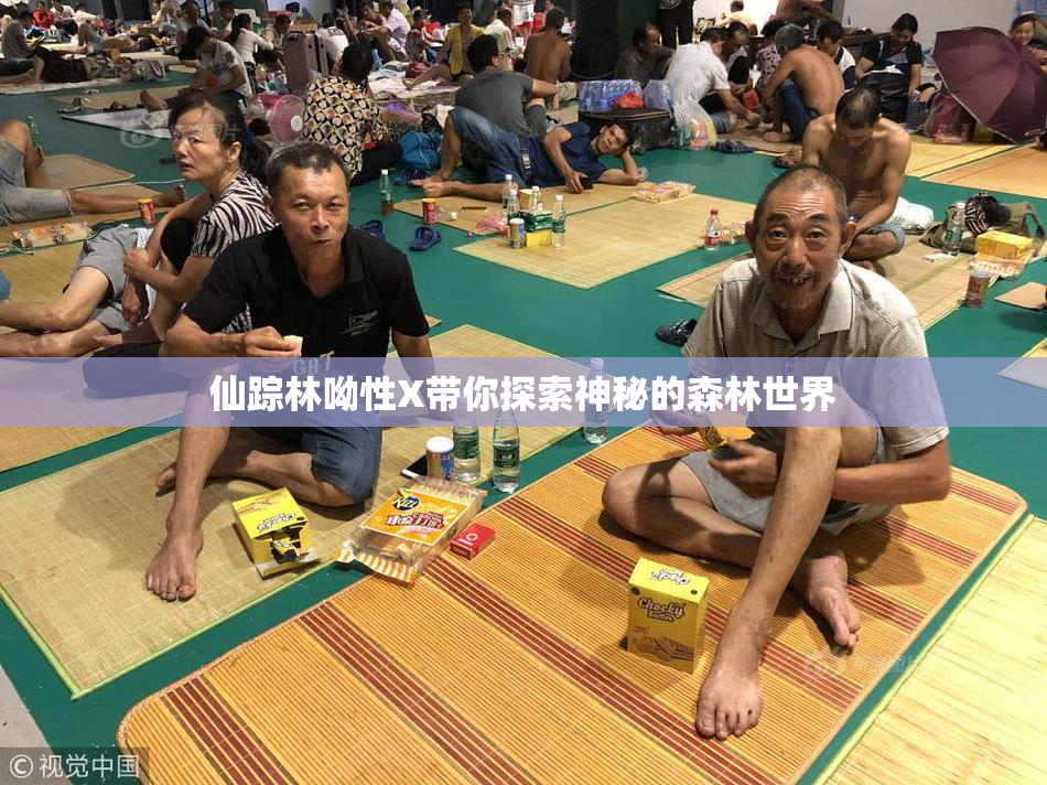 仙踪林呦性X带你探索神秘的森林世界
