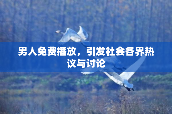男人免费播放，引发社会各界热议与讨论