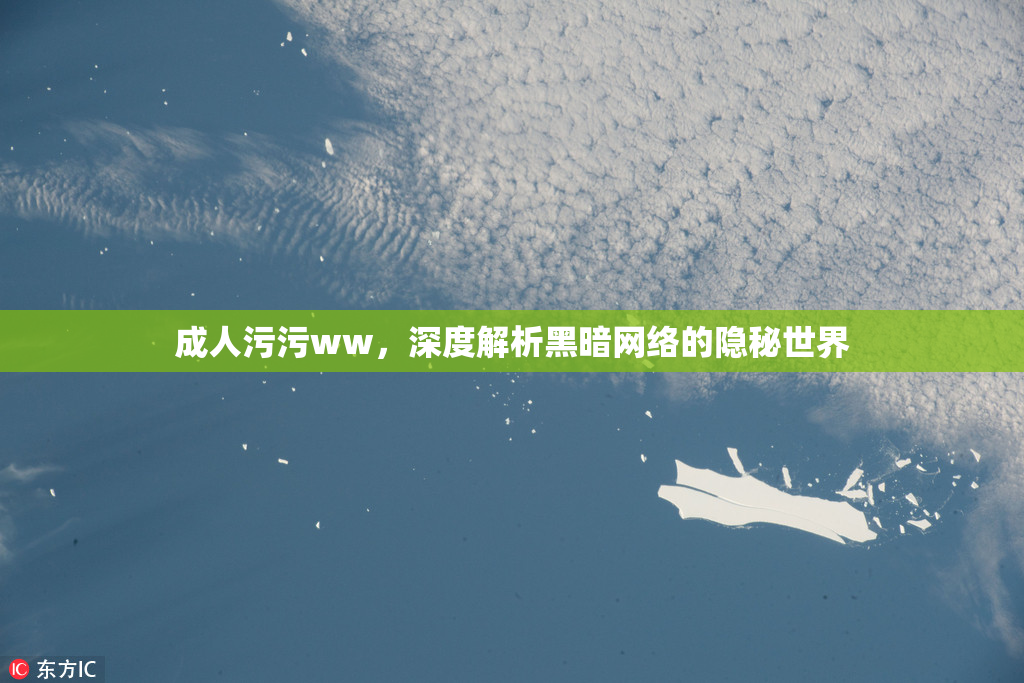 成人污污ww，深度解析黑暗网络的隐秘世界
