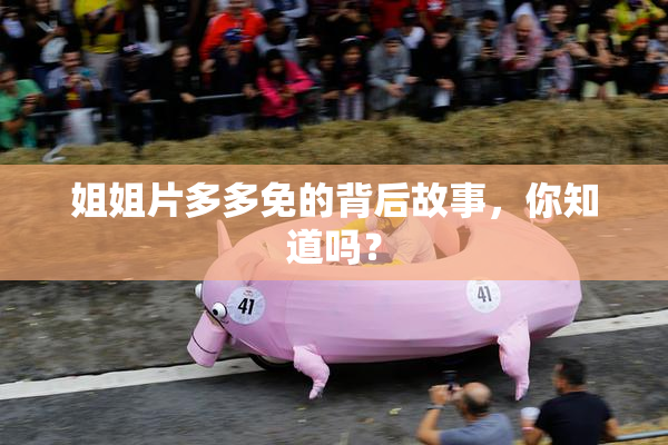 姐姐片多多免的背后故事，你知道吗？