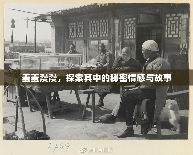 羞羞漫漫，探索其中的秘密情感与故事