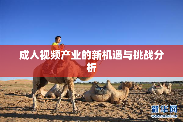成人视频产业的新机遇与挑战分析