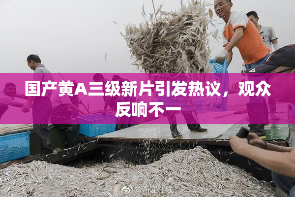 国产黄A三级新片引发热议，观众反响不一