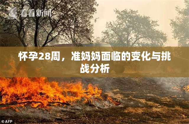 怀孕28周，准妈妈面临的变化与挑战分析