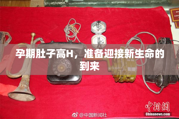 孕期肚子高H，准备迎接新生命的到来