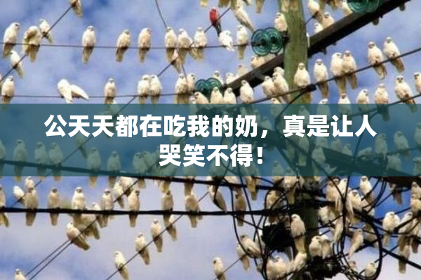 公天天都在吃我的奶，真是让人哭笑不得！