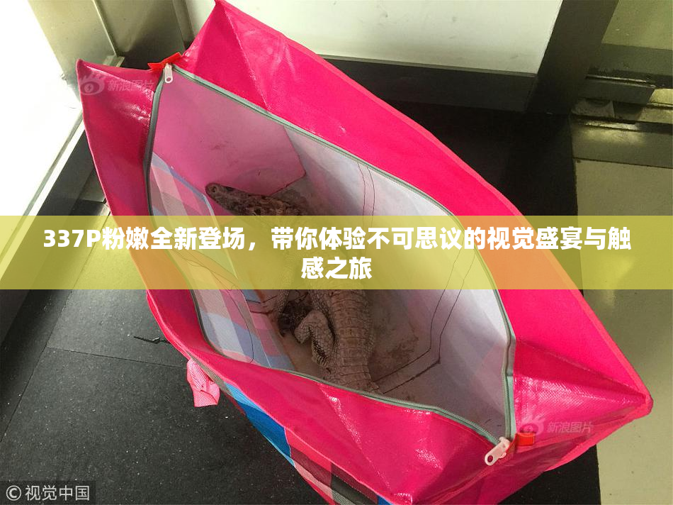 337P粉嫩全新登场，带你体验不可思议的视觉盛宴与触感之旅