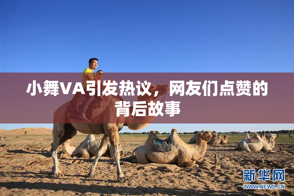 小舞VA引发热议，网友们点赞的背后故事