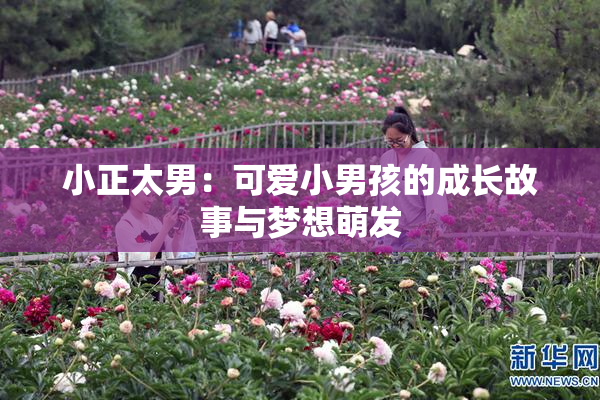 小正太男：可爱小男孩的成长故事与梦想萌发