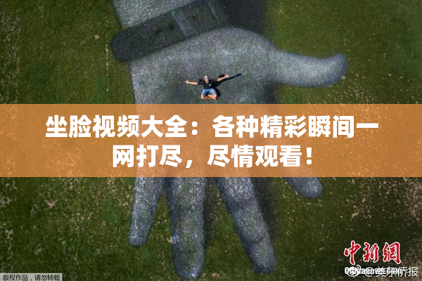 坐脸视频大全：各种精彩瞬间一网打尽，尽情观看！