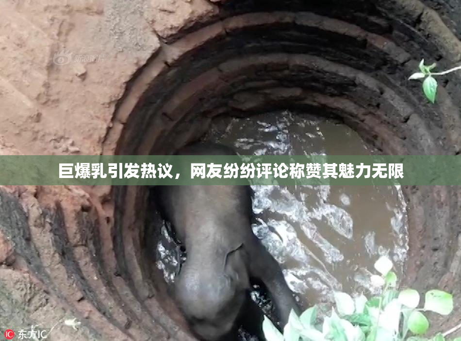 巨爆乳引发热议，网友纷纷评论称赞其魅力无限
