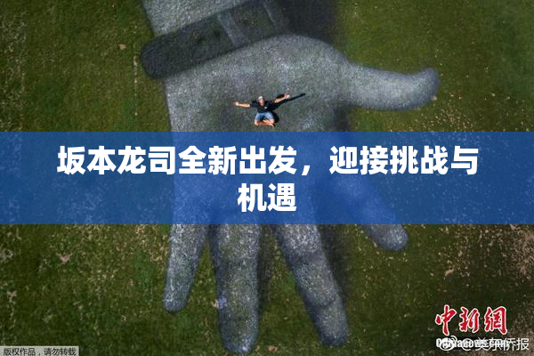 坂本龙司全新出发，迎接挑战与机遇