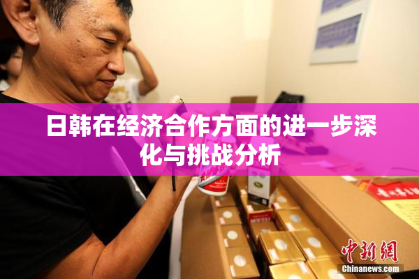 日韩在经济合作方面的进一步深化与挑战分析