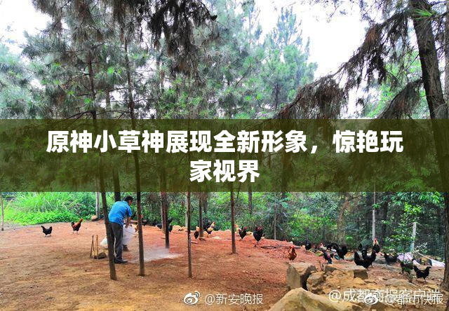 原神小草神展现全新形象，惊艳玩家视界