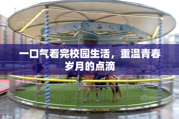 一口气看完校园生活，重温青春岁月的点滴
