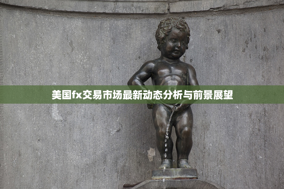 美国fx交易市场最新动态分析与前景展望