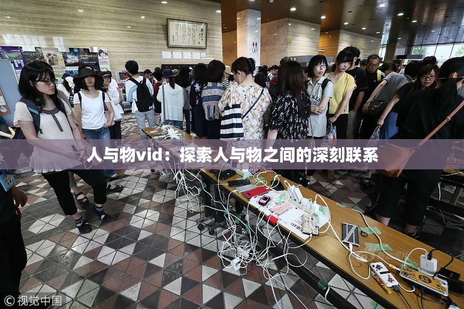 人与物vid：探索人与物之间的深刻联系
