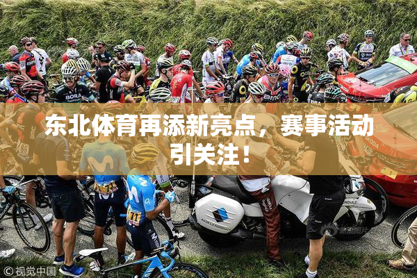 东北体育再添新亮点，赛事活动引关注！