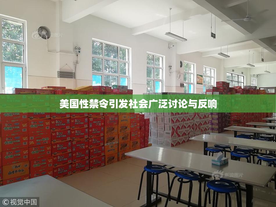 美国性禁令引发社会广泛讨论与反响