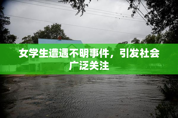 女学生遭遇不明事件，引发社会广泛关注