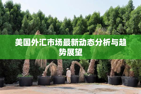 美国外汇市场最新动态分析与趋势展望