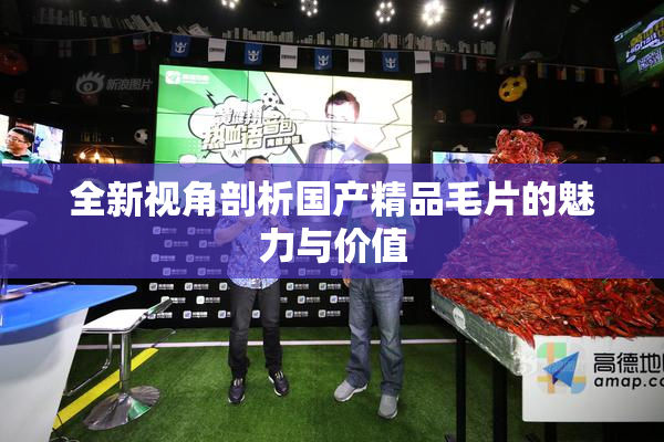 全新视角剖析国产精品毛片的魅力与价值