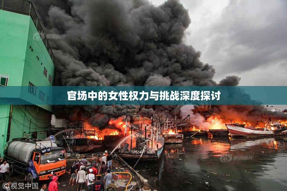 官场中的女性权力与挑战深度探讨
