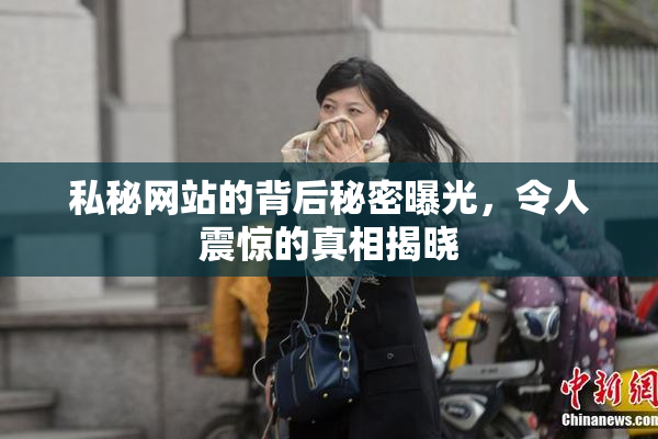 私秘网站的背后秘密曝光，令人震惊的真相揭晓
