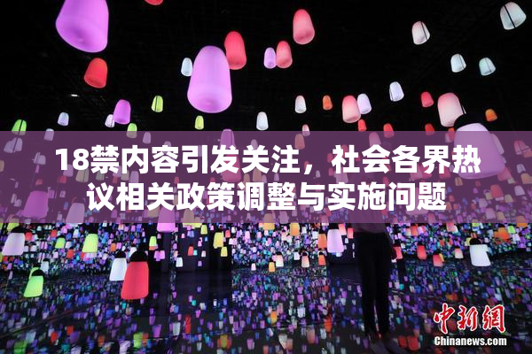 18禁内容引发关注，社会各界热议相关政策调整与实施问题