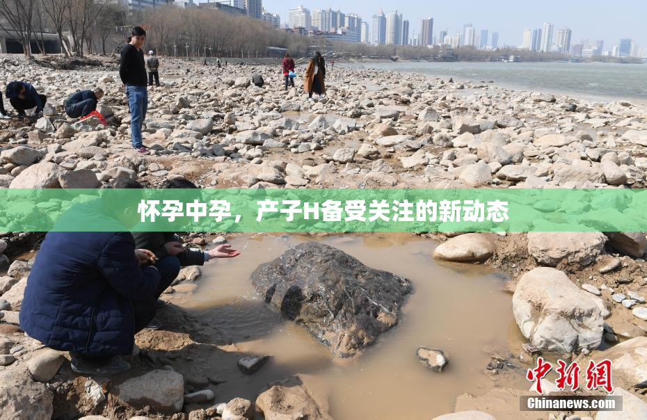 怀孕中孕，产子H备受关注的新动态