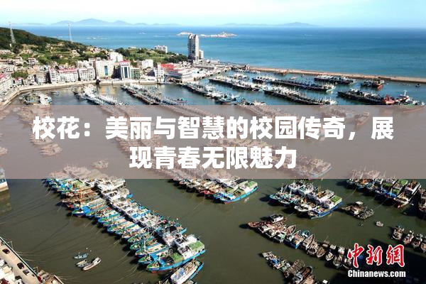 校花：美丽与智慧的校园传奇，展现青春无限魅力