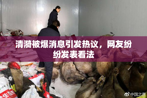 清漪被爆消息引发热议，网友纷纷发表看法