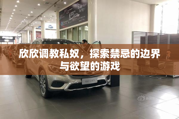 欣欣调教私奴，探索禁忌的边界与欲望的游戏