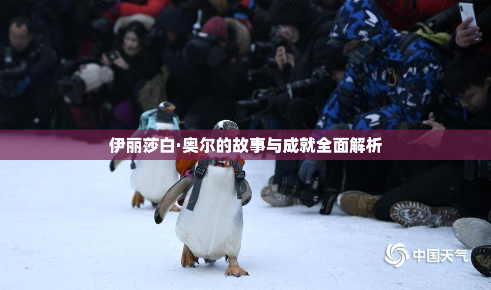 伊丽莎白·奥尔的故事与成就全面解析