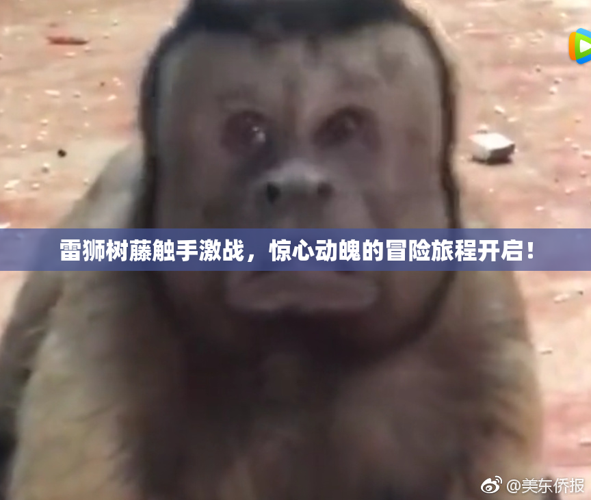 雷狮树藤触手激战，惊心动魄的冒险旅程开启！