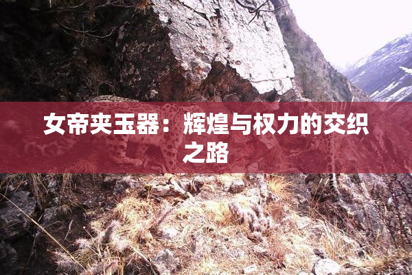 女帝夹玉器：辉煌与权力的交织之路